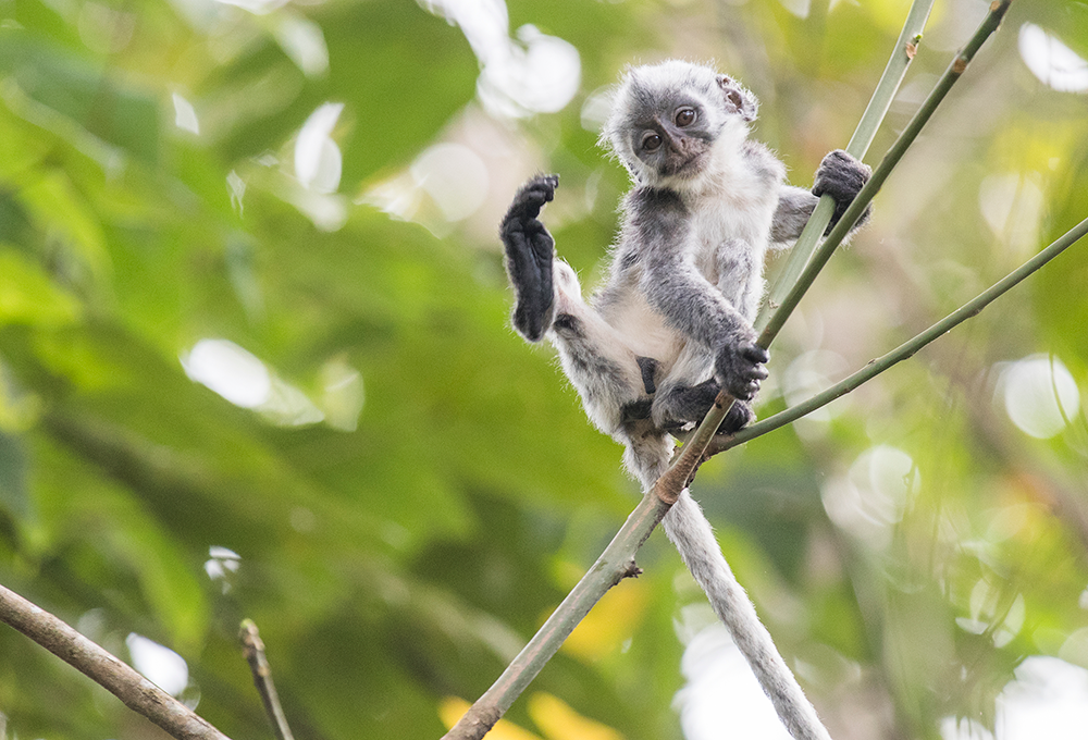 BG����(����)Ψһ�ٷ���վ